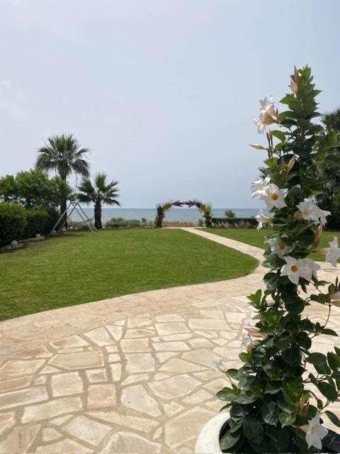 Ionion Beachfront Villa Ayia Napa Eksteriør billede