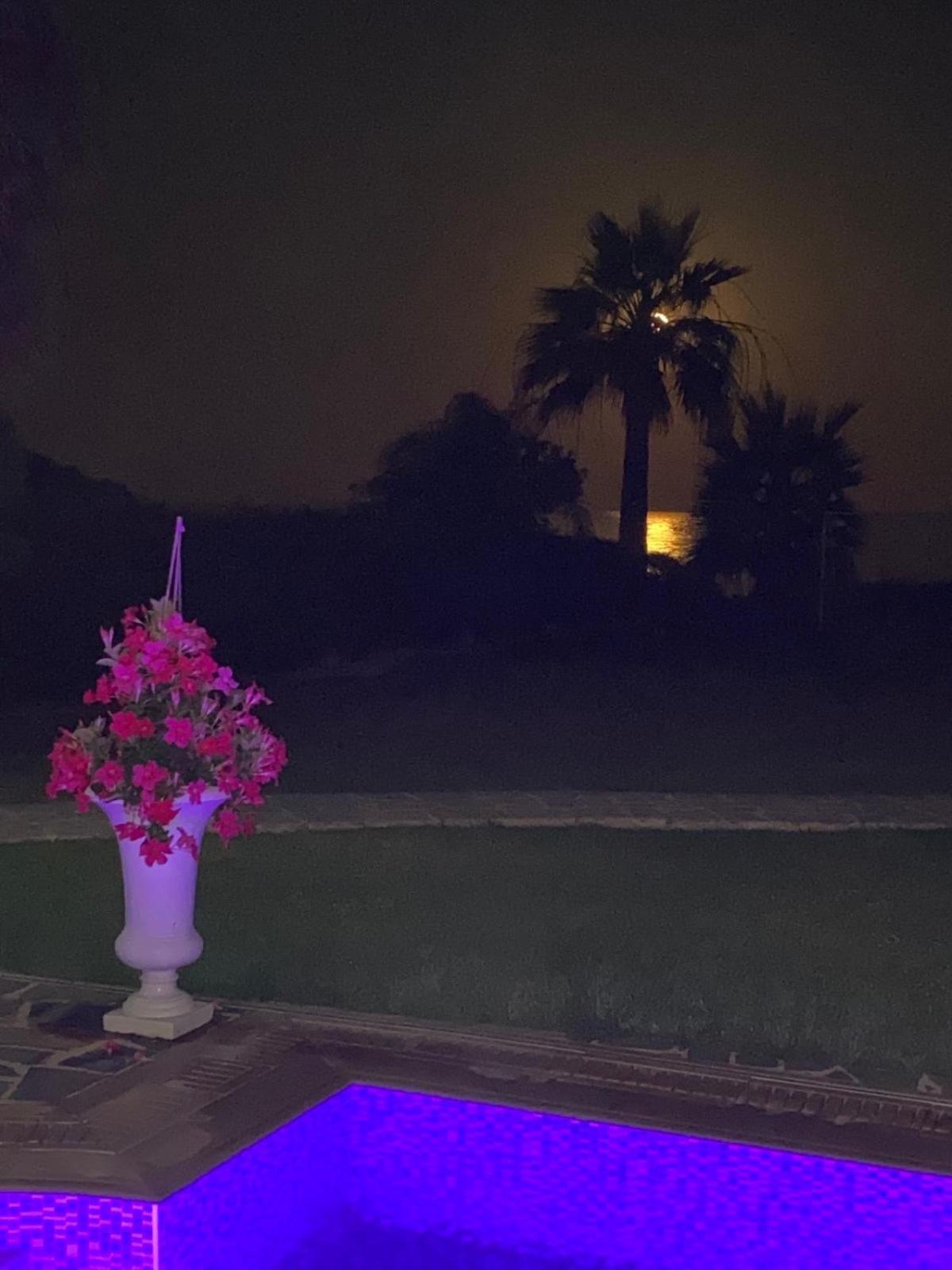 Ionion Beachfront Villa Ayia Napa Eksteriør billede