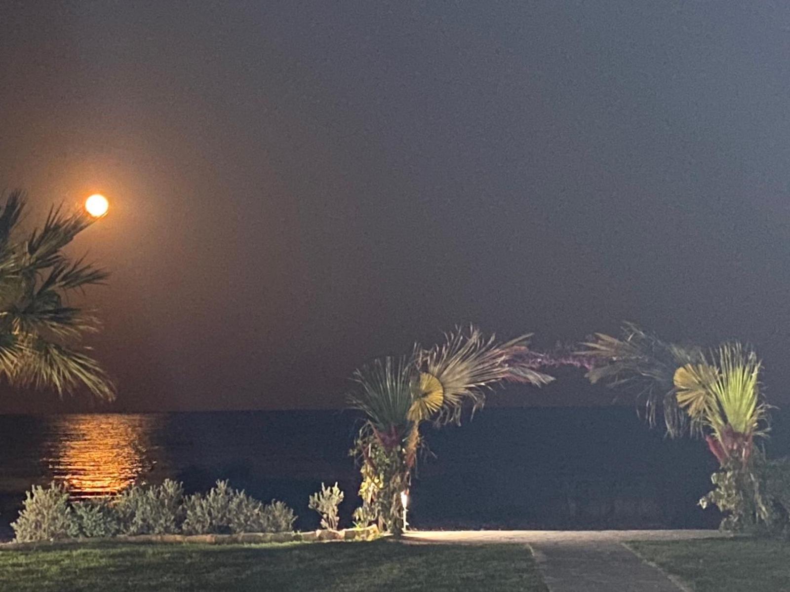 Ionion Beachfront Villa Ayia Napa Eksteriør billede