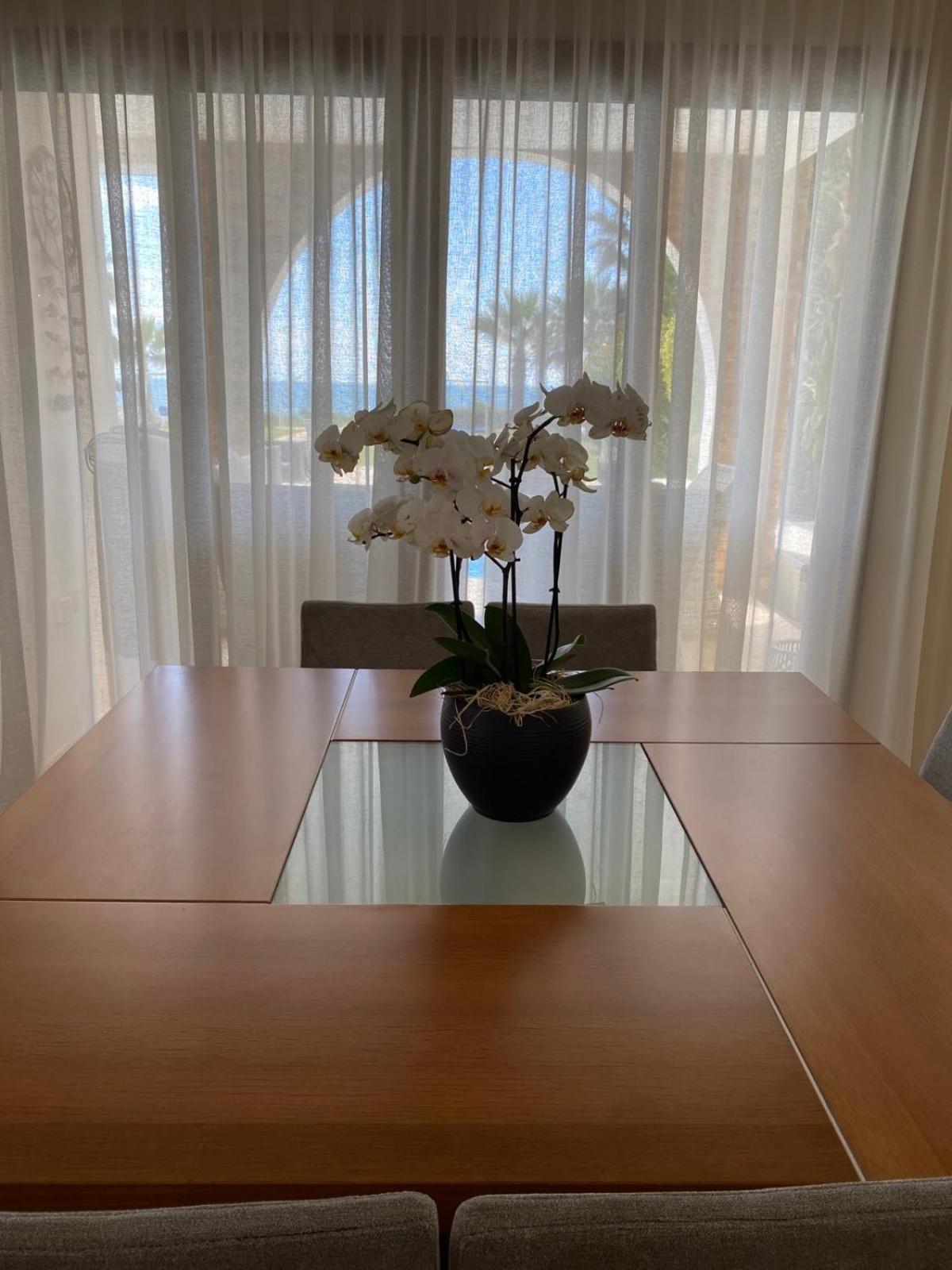 Ionion Beachfront Villa Ayia Napa Eksteriør billede