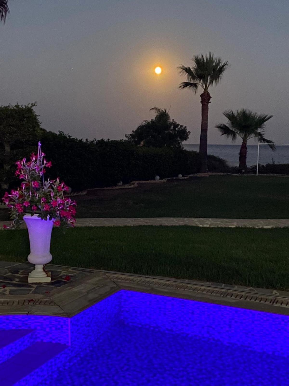 Ionion Beachfront Villa Ayia Napa Eksteriør billede
